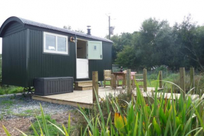 Shepherds Hut on Cornish Smallholding